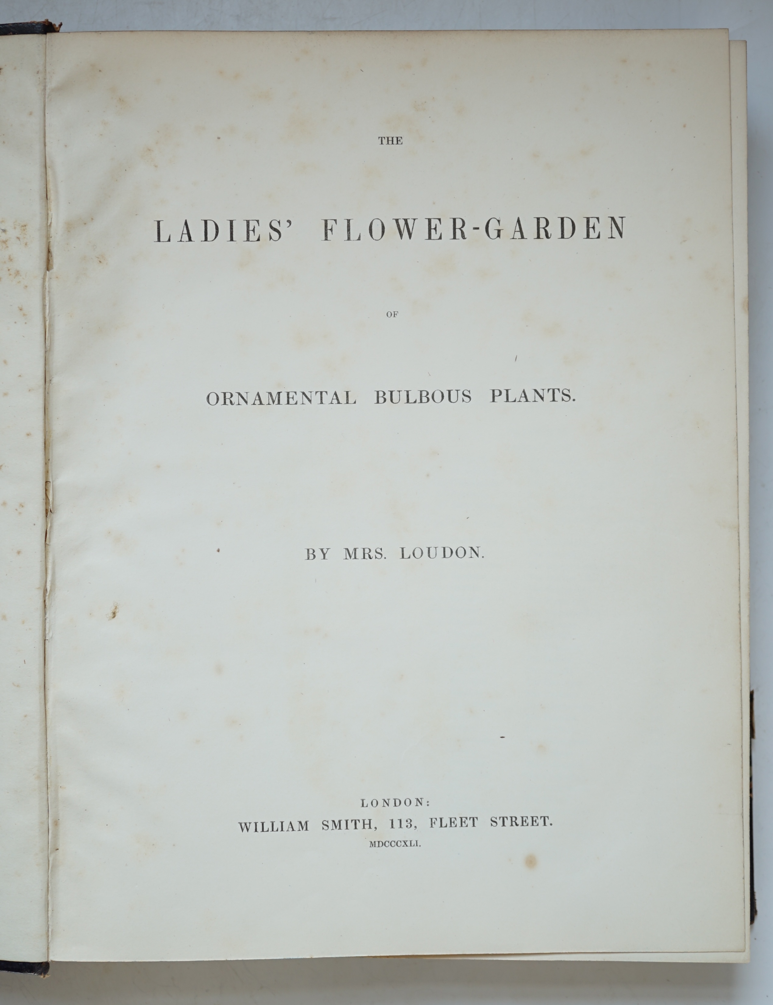 Loudon, Jane Webb - The Ladies' Flower Garden of Ornamental Bulbous Plants, 1st edition, 58 hand-coloured lithographed plates, 4to, contemporary half morocco, spine torn, with 80% loss, William Smith, London, 1841.